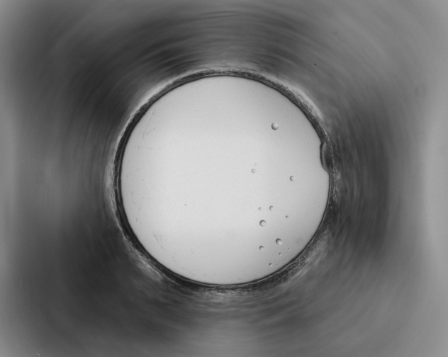 X0000086900895200705141640