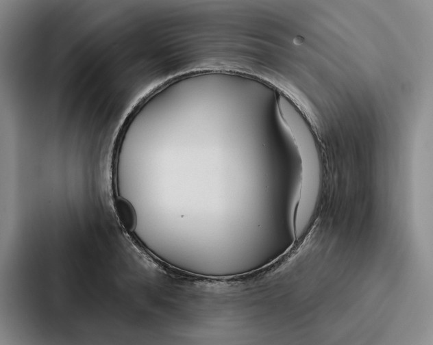 X0000086900896200705141640