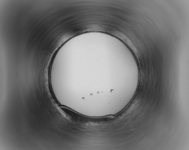 X0000086900898200705141640