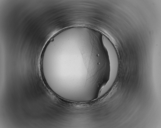 X0000086900899200705141640