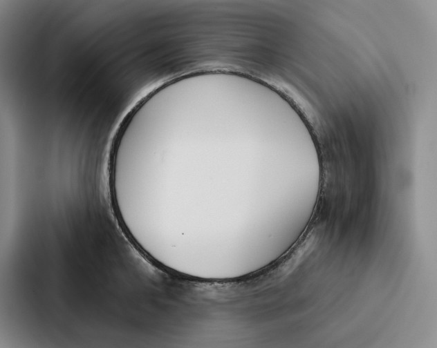 X0000086900902200705141640