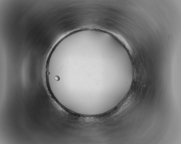 X0000086900903200705141640