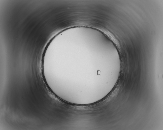 X0000086900904200705141640