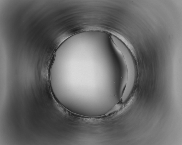 X0000086900905200705141640