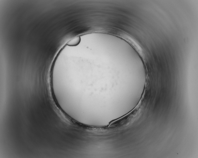 X0000086900907200705141640