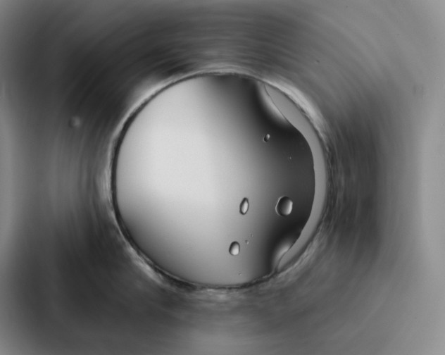 X0000086900910200705141640