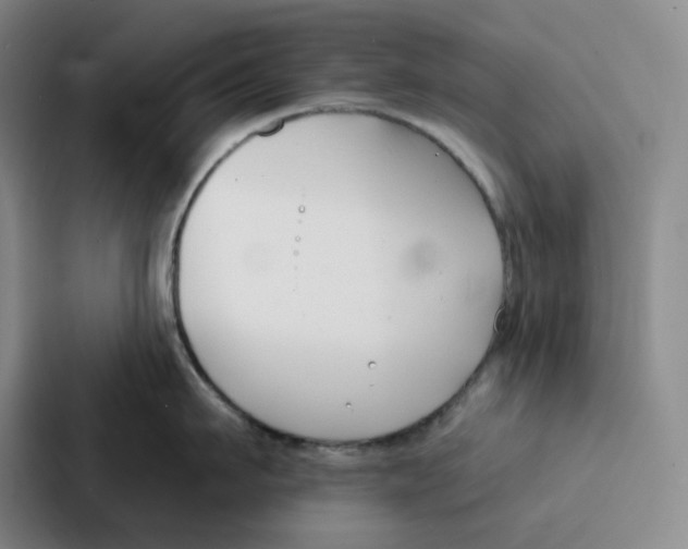 X0000086900911200705141640