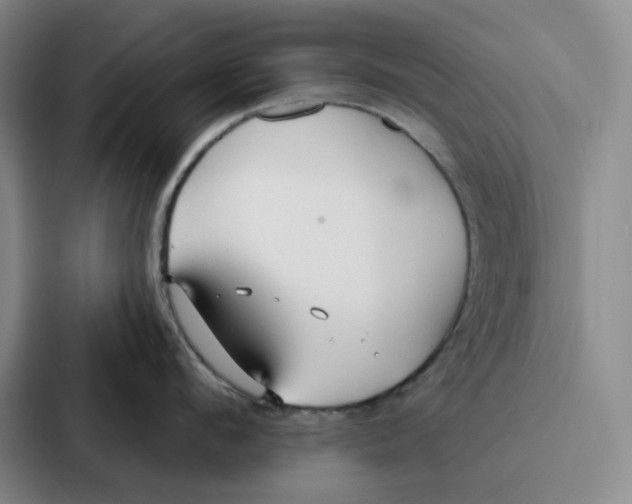 X0000086900912200705141640