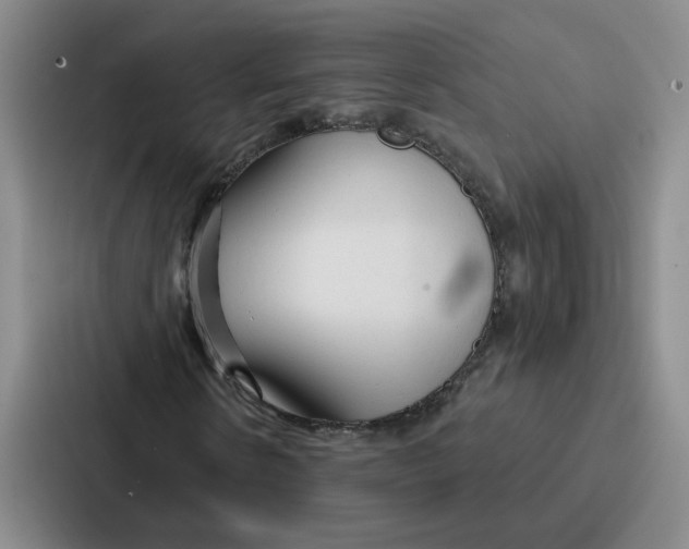 X0000086900914200705141639