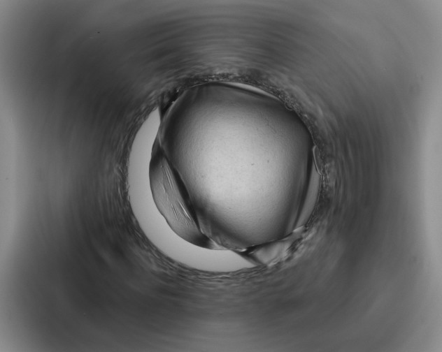 X0000086900916200705141639