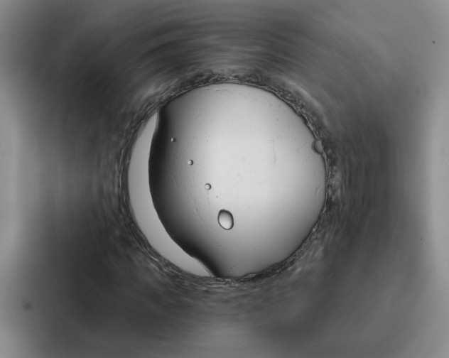 X0000086900917200705141639