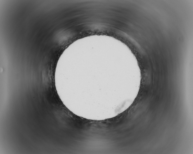 X0000086900918200705141639