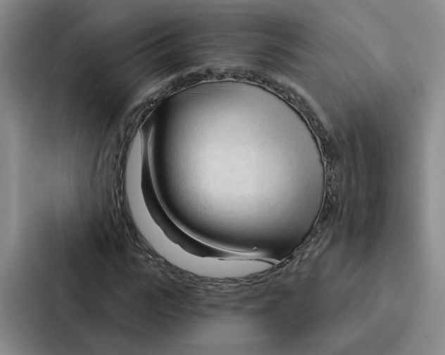 X0000086900919200705141639