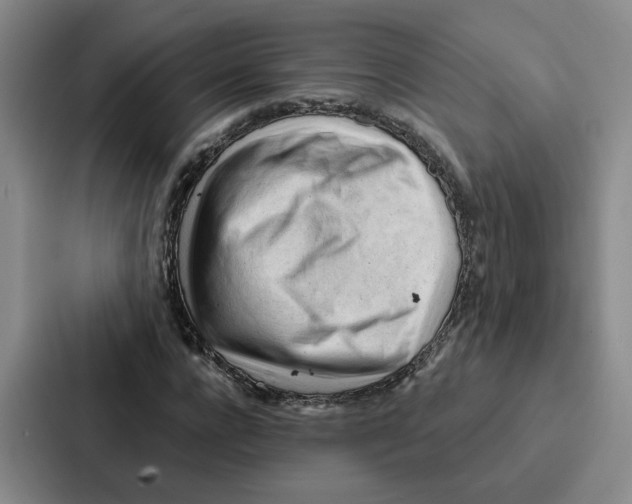 X0000086900920200705141639