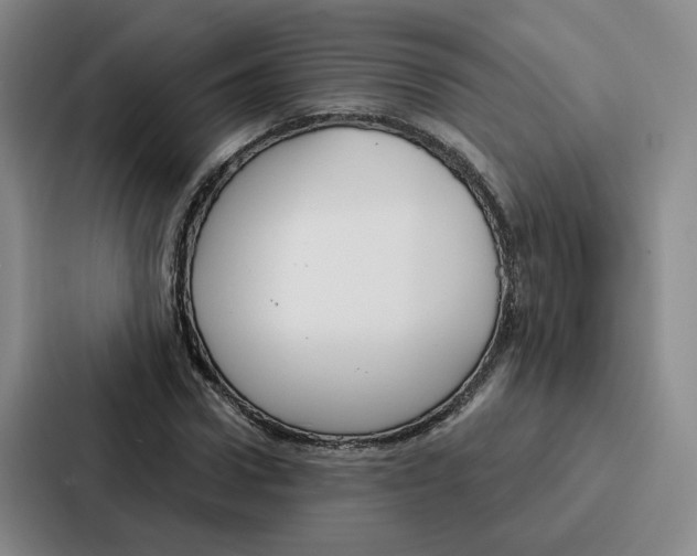 X0000086900922200705141639