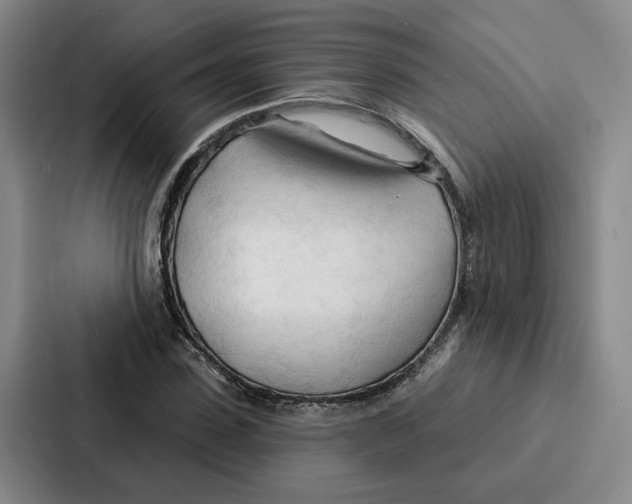 X0000086900923200705141639