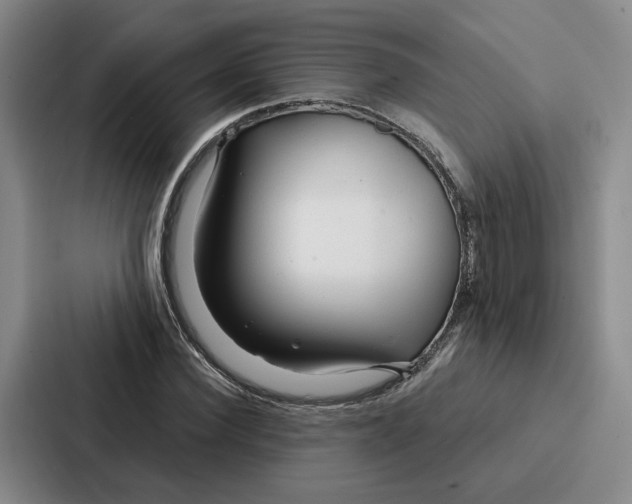 X0000086900924200705141639