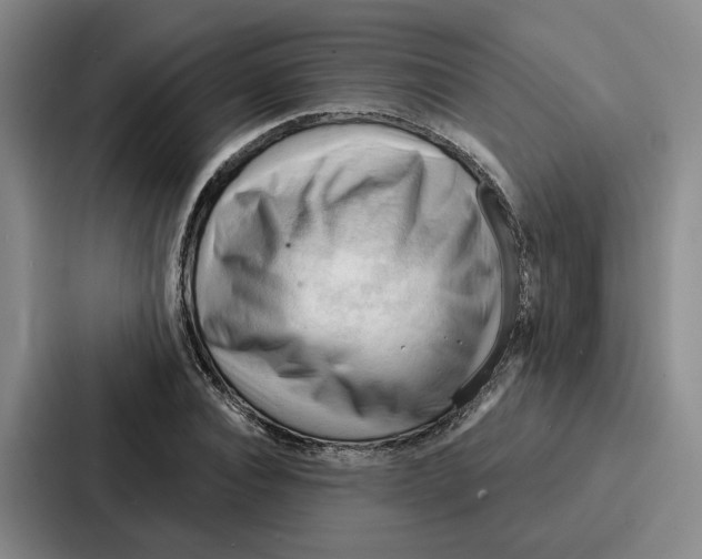 X0000086900928200705141639