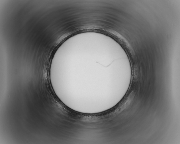 X0000086900929200705141639