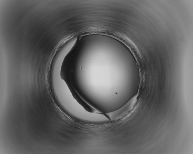 X0000086900930200705141639