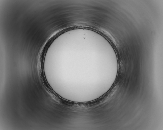 X0000086900931200705141639