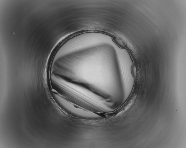 X0000086900932200705141639