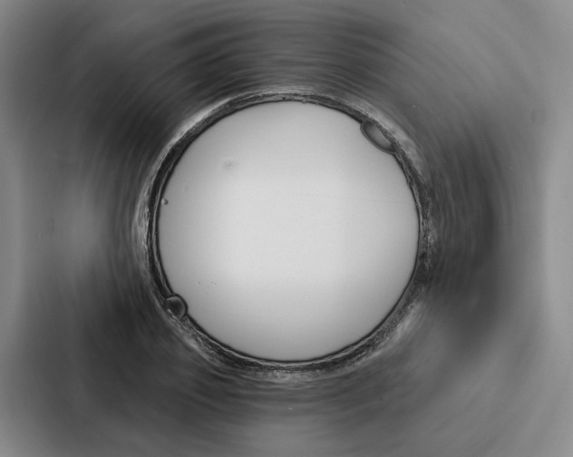 X0000086900933200705141639