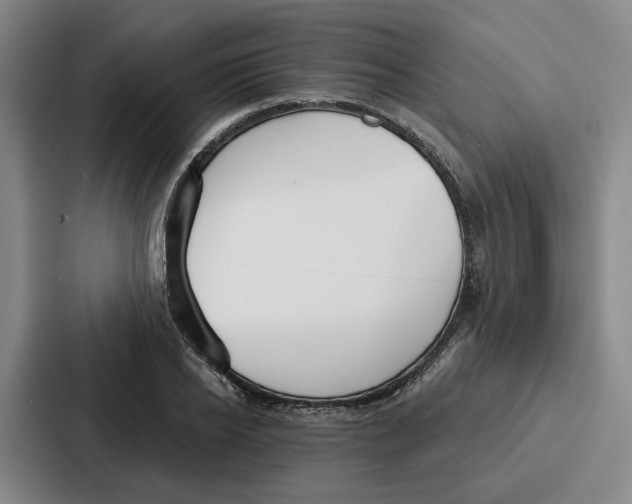 X0000086900934200705141639