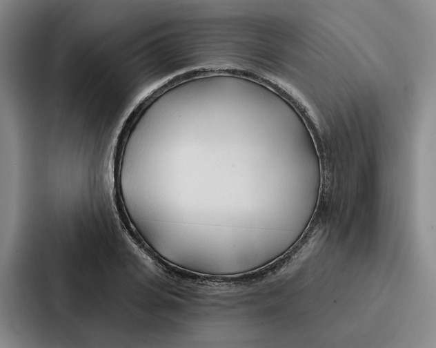 X0000086900935200705141640