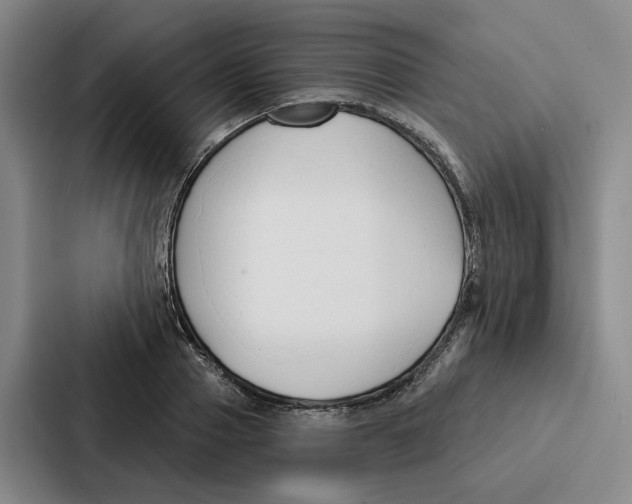 X0000086900937200705141640