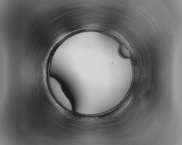 X0000086900939200705141640