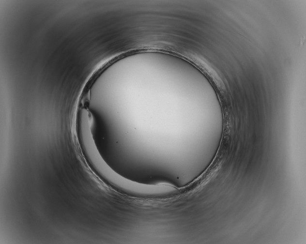 X0000086900940200705141640