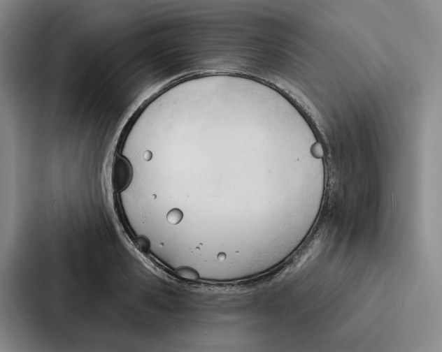 X0000086900941200705141640