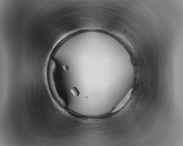 X0000086900942200705141640