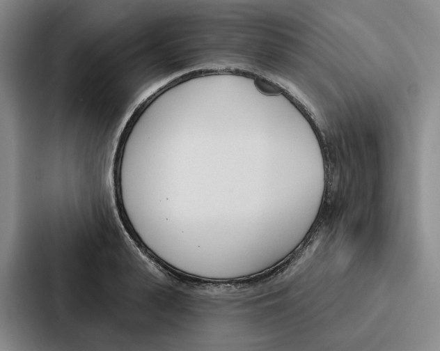 X0000086900943200705141640