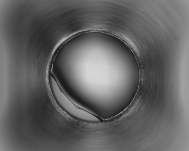 X0000086900944200705141640