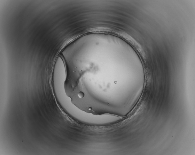 X0000086900945200705141640