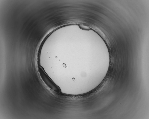 X0000086900947200705141640