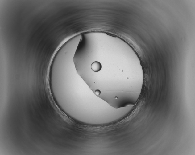 X0000086900948200705141640