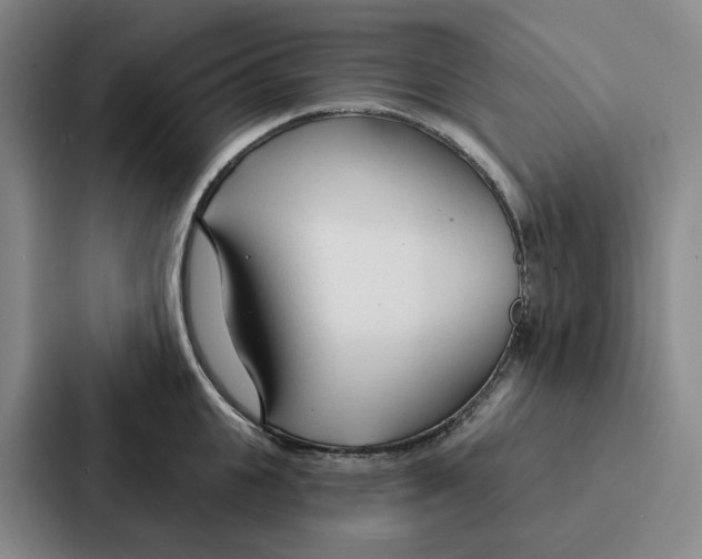 X0000086900951200705141640