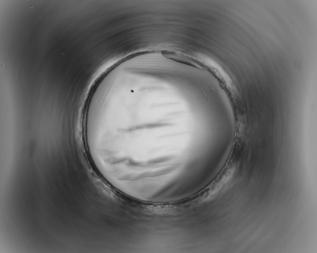 X0000086900952200705141640