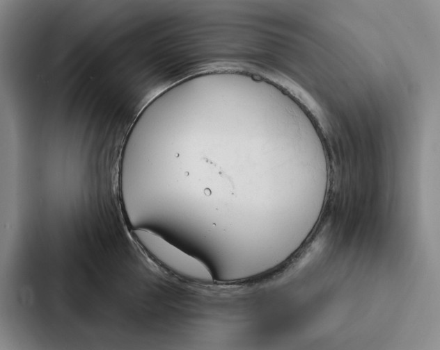 X0000086900953200705141640