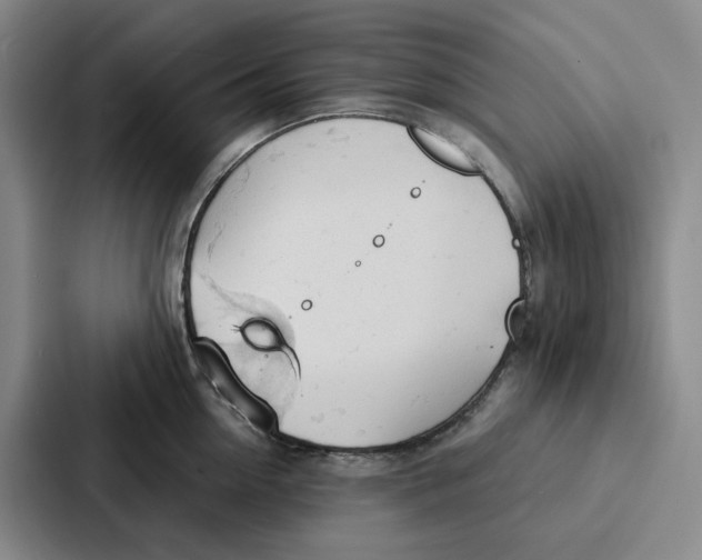 X0000086900954200705141640