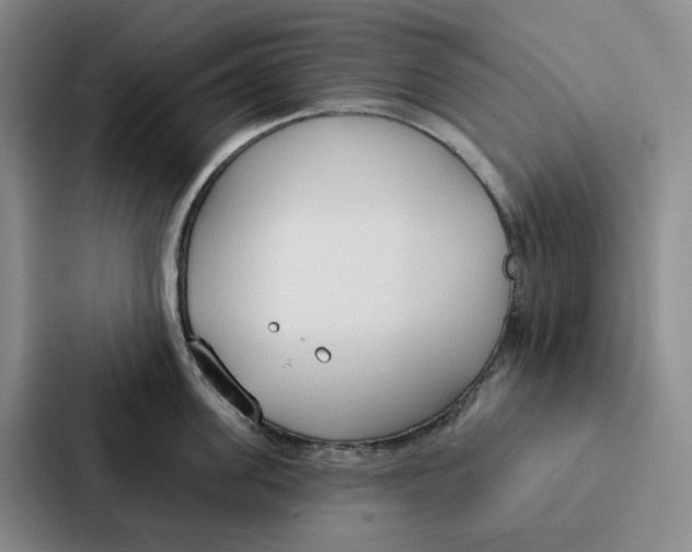 X0000086900955200705141640