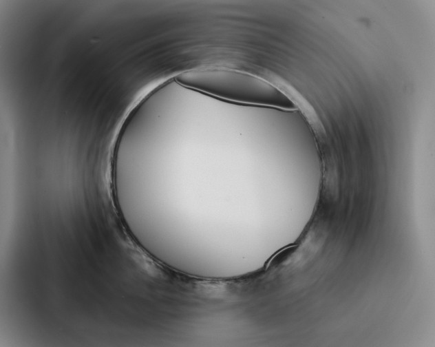 X0000086900956200705141640