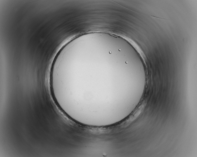 X0000086900957200705141640