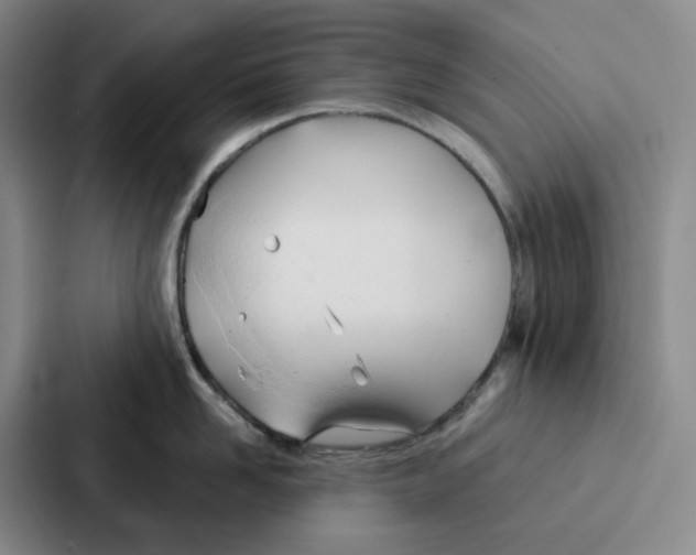 X0000086900958200705141640