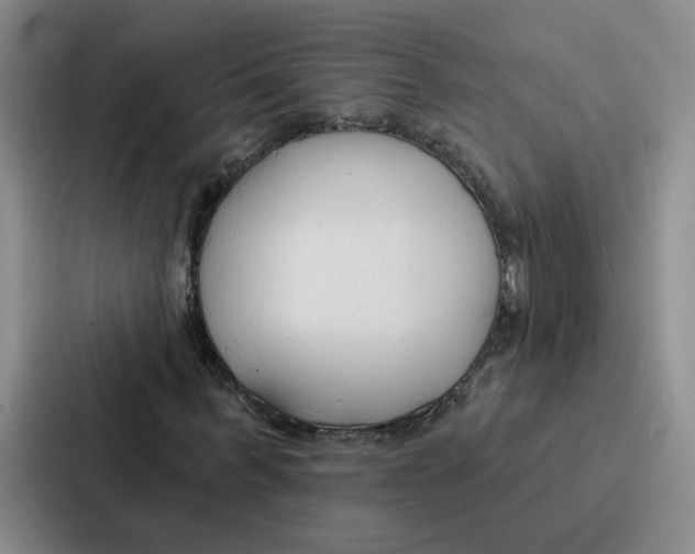 X0000086900963200705141639