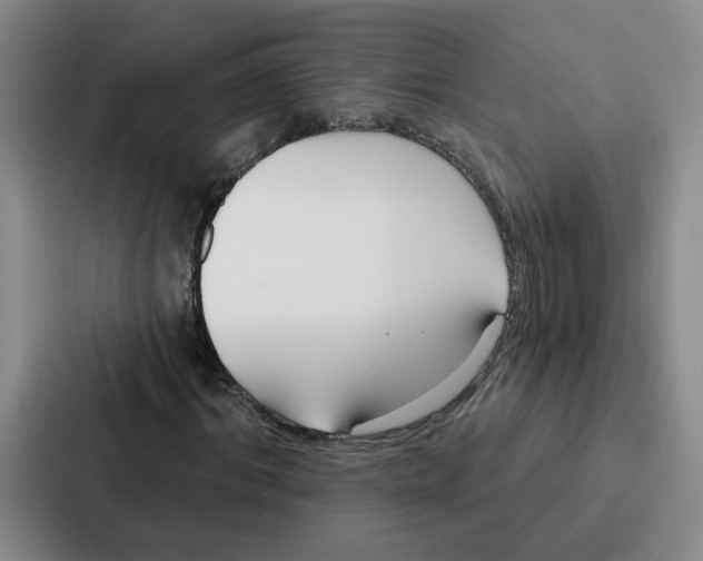 X0000086900964200705141639