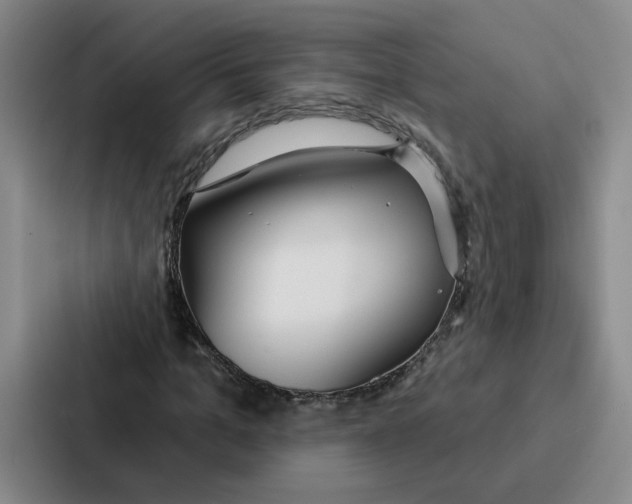 X0000086900965200705141639